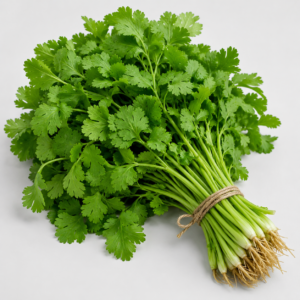 Coriander Bunch Dhaniya
