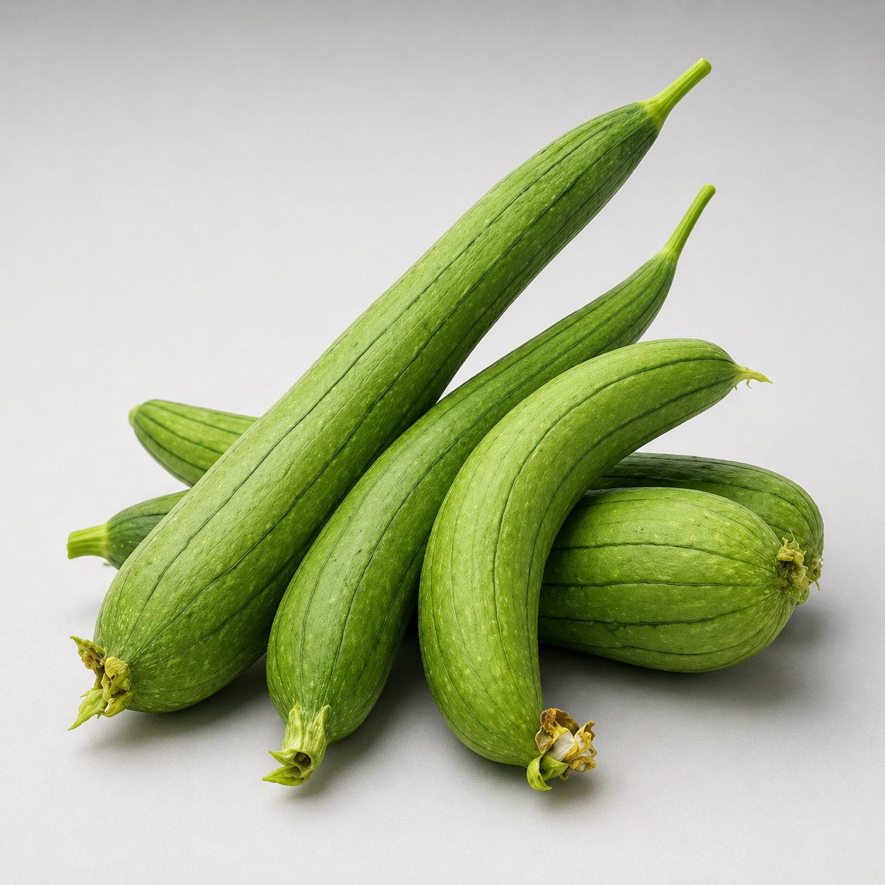 Sponge Gourd Tori