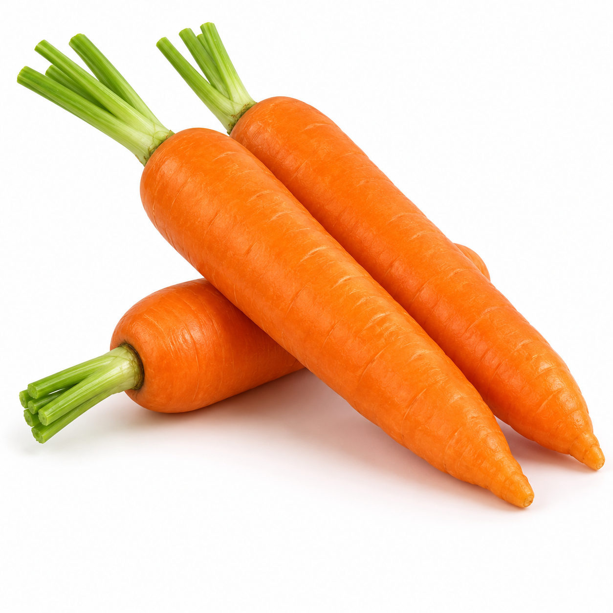 Orange Carrot Gajar